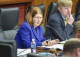 Representative Liebling sits at the committee members' table and speaks into a microphone to someone out of view.